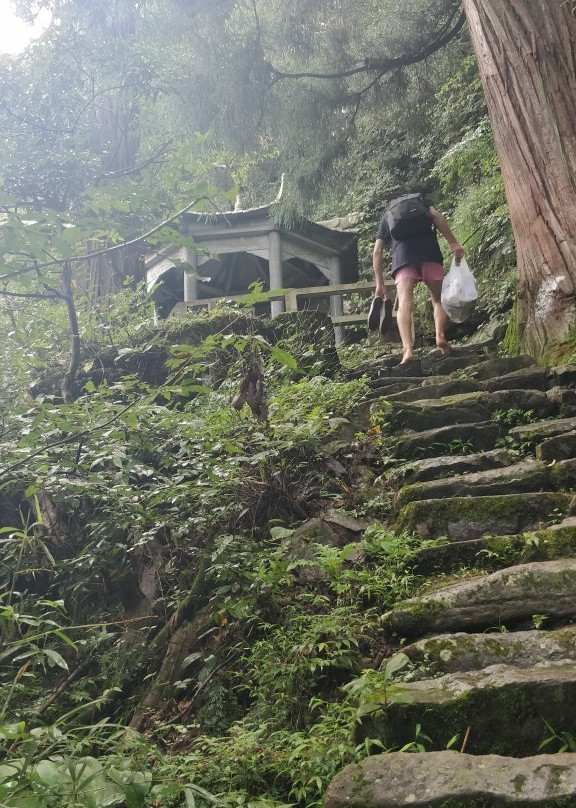 西天目山景点图片