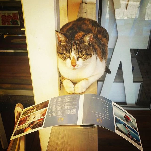 Mediteran Travel-卡尔坎必去景点