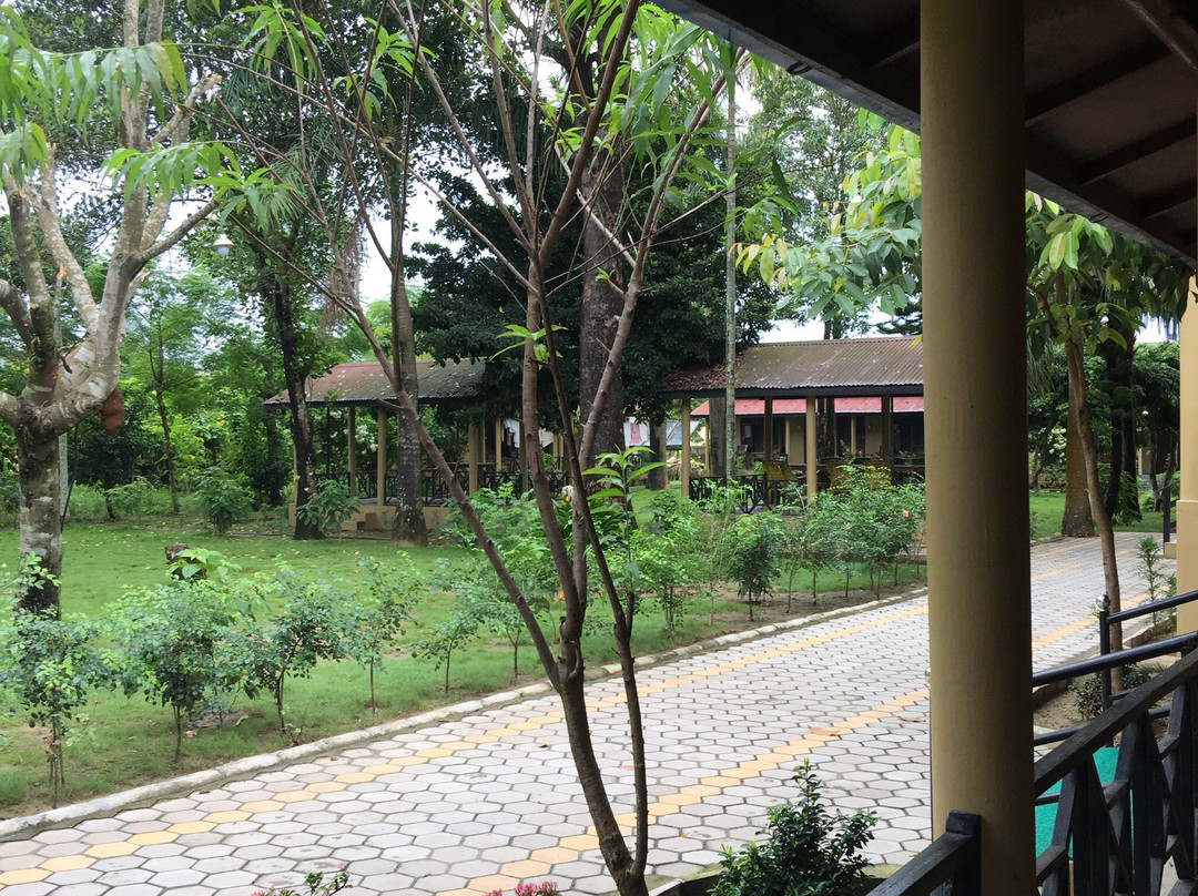 Tiger Residency Resort-奇旺国家公国必去景点