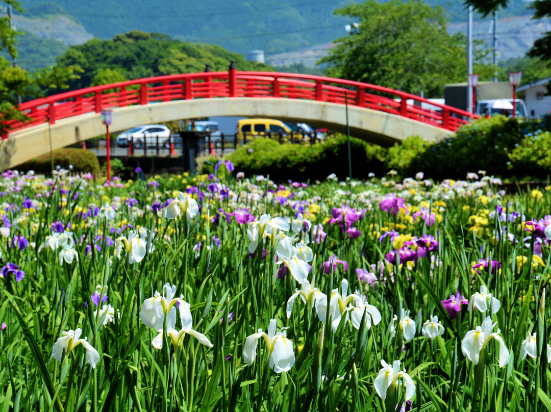 Kamo Shobuen-丰桥市必去景点