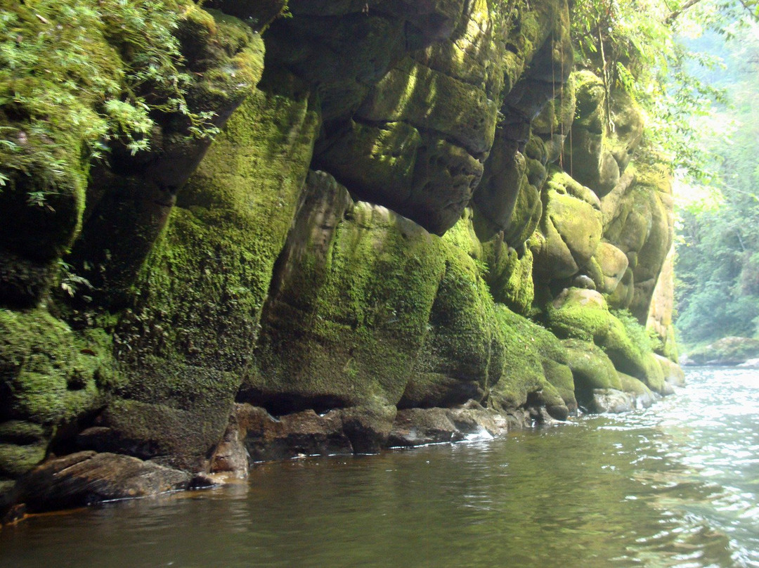 Nangaritza River-Zamora-Chinchipe Province必去景点