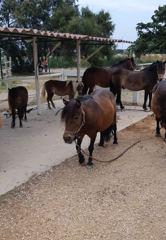 Le Cheval Andalou景点图片