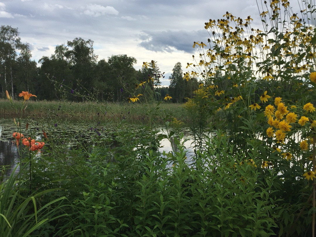 Sundborn旅游攻略图片