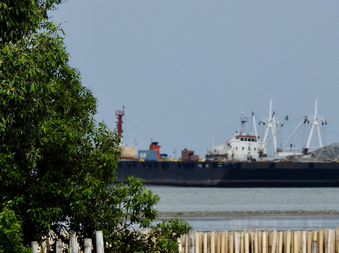 Ao Mahachai Mangrove Forest Natural Education Center-龙仔厝必去景点