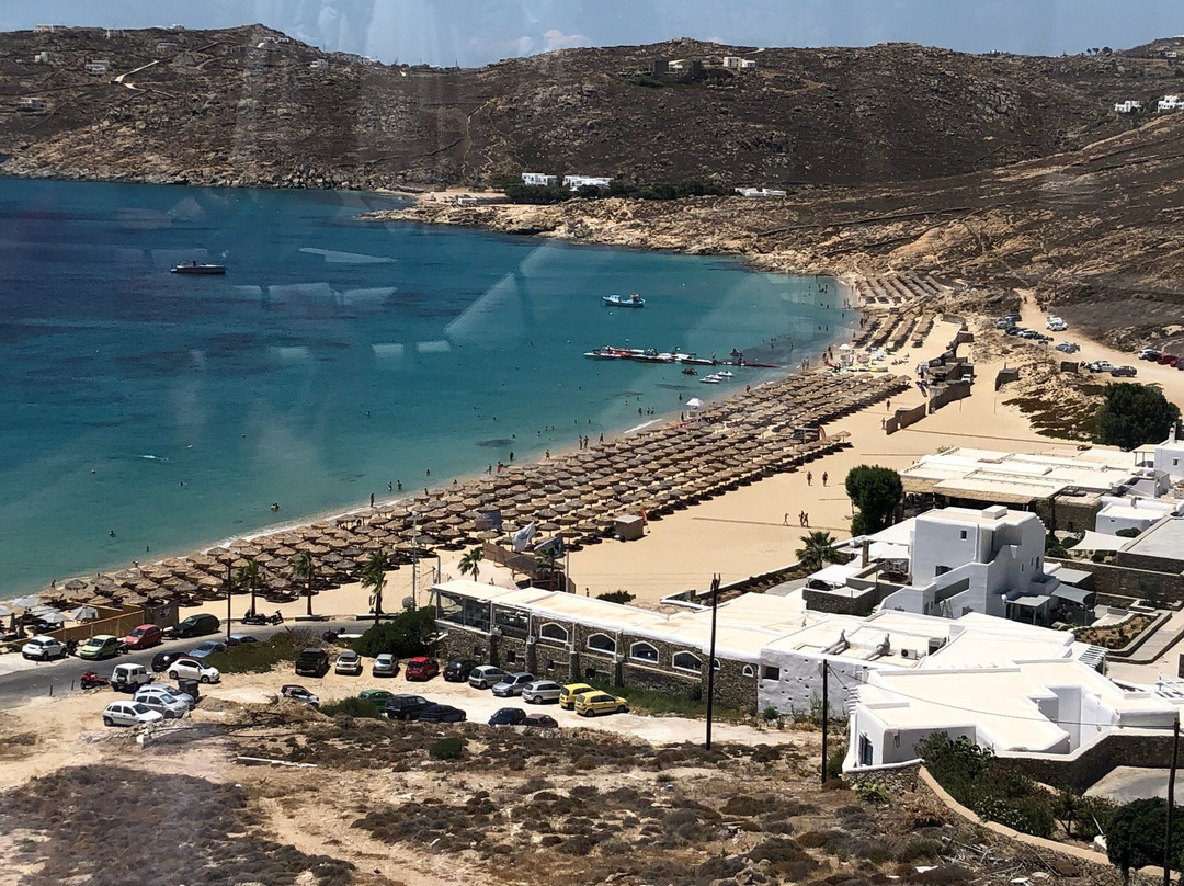 Royal Myconian主图