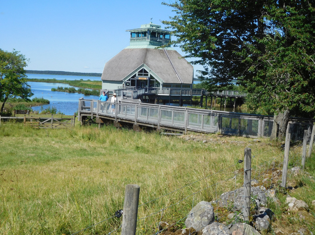 Naturum Hornborgasjön景点图片