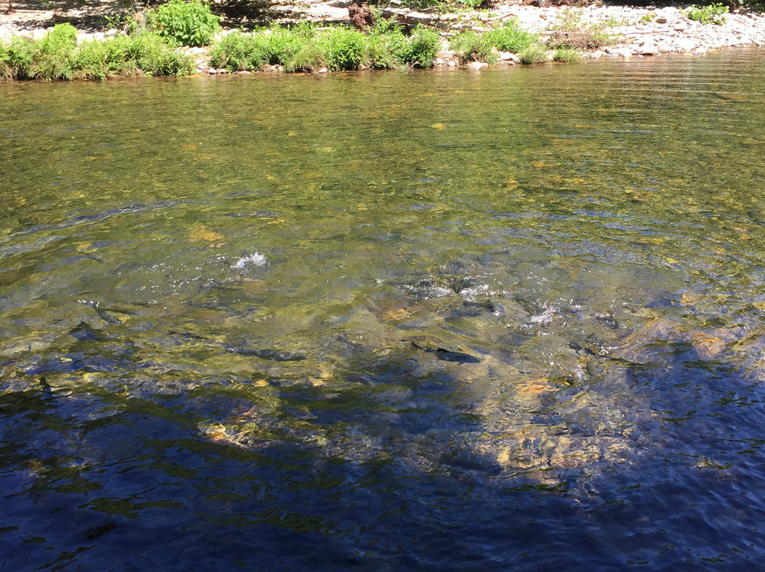 Mount Mitchell Golf Club-Burnsville必去景点