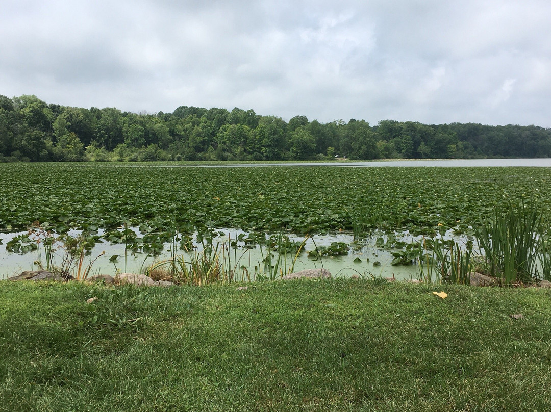 Kiser Lake State Park景点图片