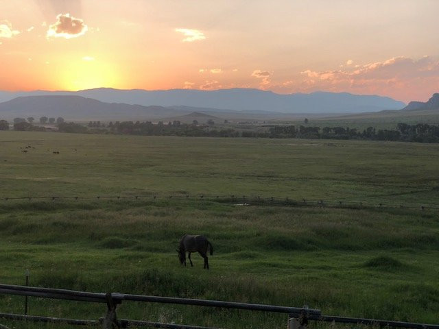 4 Bears bed and breakfast主图