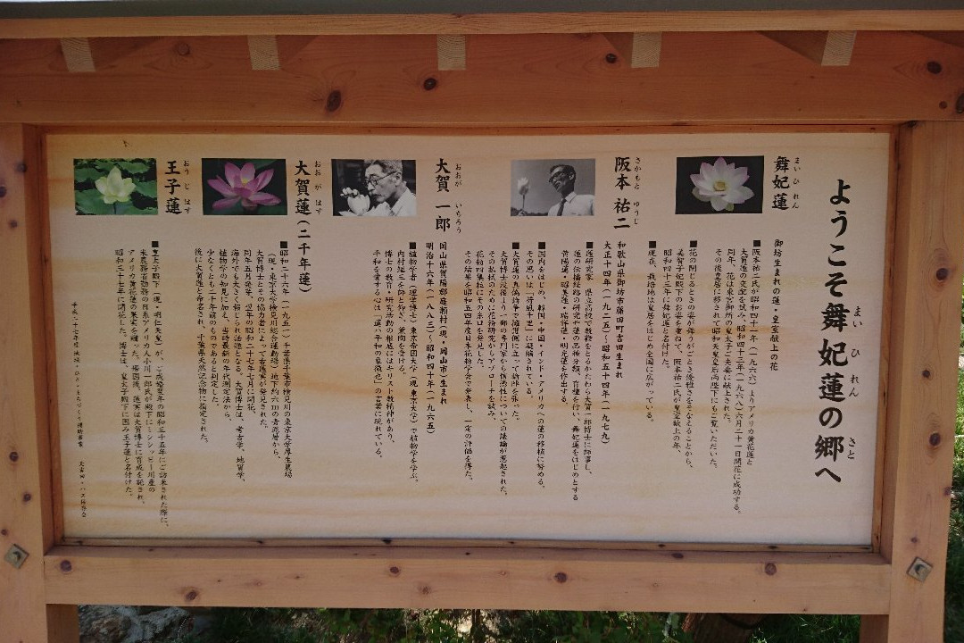 Maihiren no Sato-御坊市必去景点