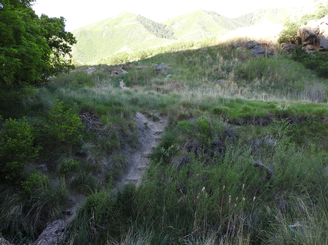 Hippy Hot Springs-格伦伍德温泉必去景点