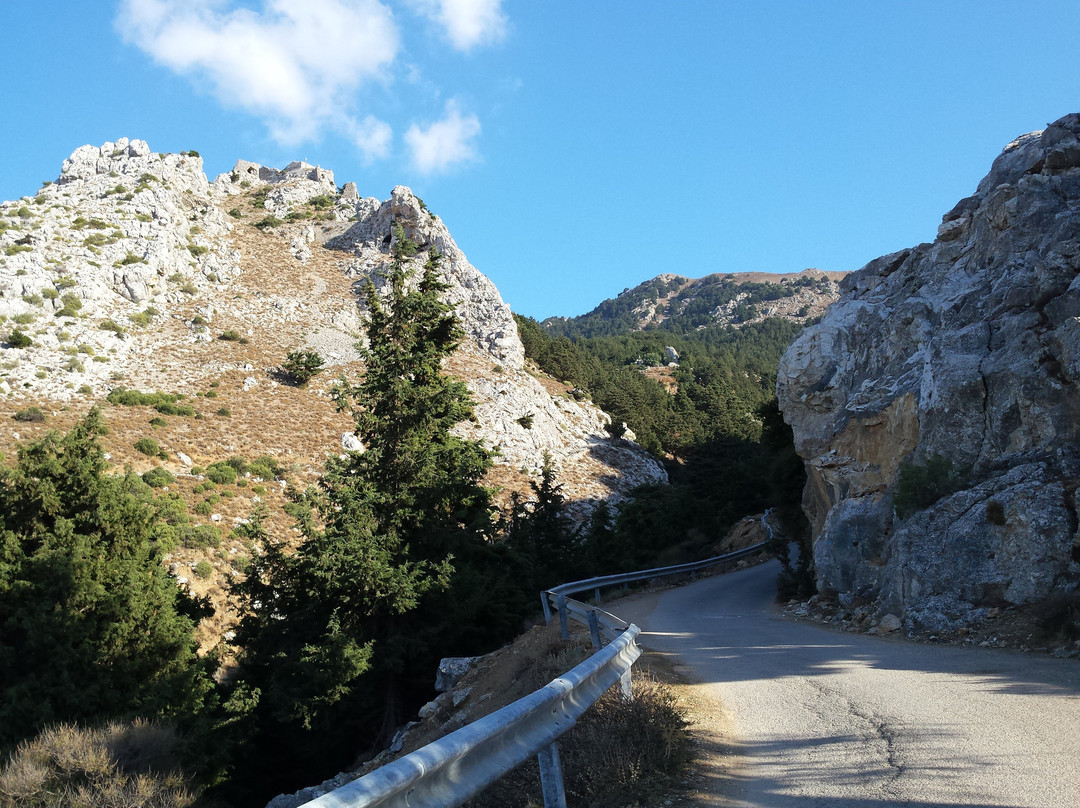 Pili旅游攻略图片