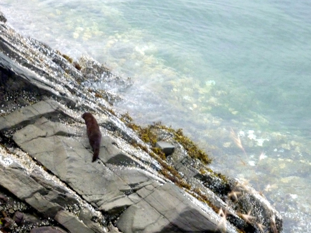 温哥华岛城堡海湾酒店主图