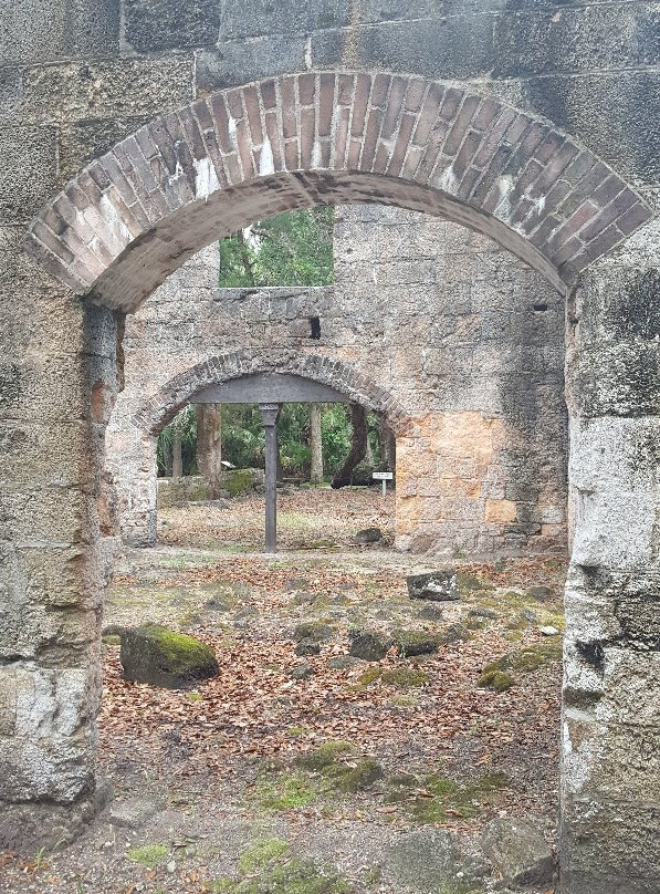 Bulow Plantation Ruins Historic State Park景点图片