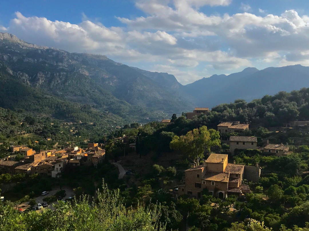 Fornalutx旅游攻略图片