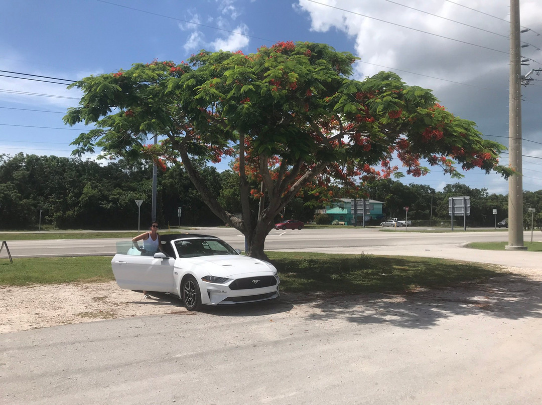 The Florida Keys Visitor Center-拉哥岛必去景点
