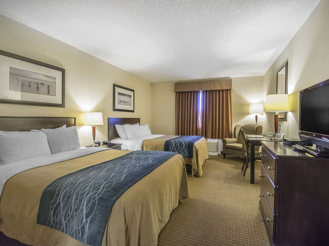 Comfort Inn & Suites主图