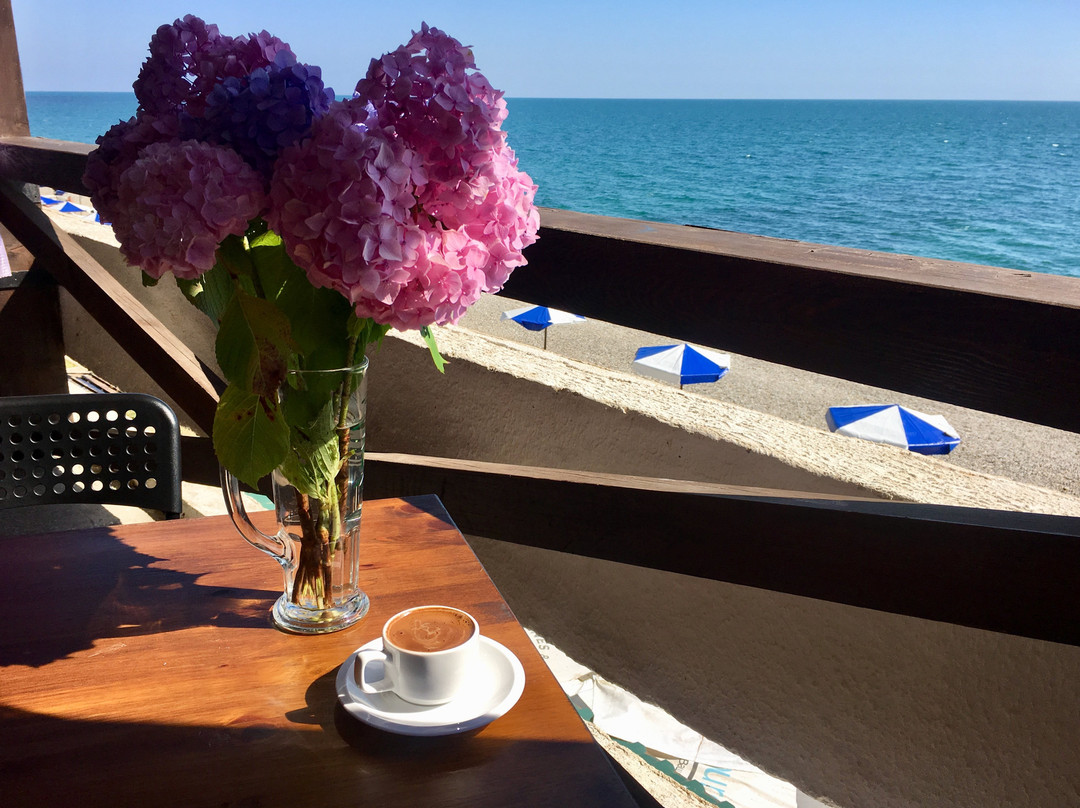 Pansionat Im. N. Lakoba Myussera主图