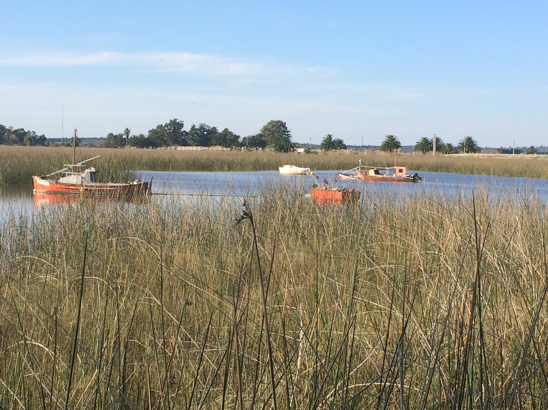 Parque Lecocq-蒙得维的亚必去景点