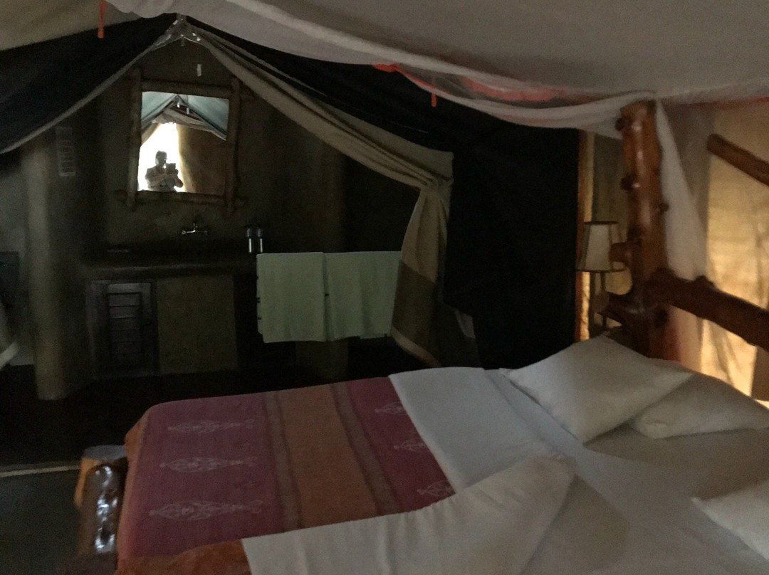 Serengeti Tented Camp - Ikoma Bush Camp主图