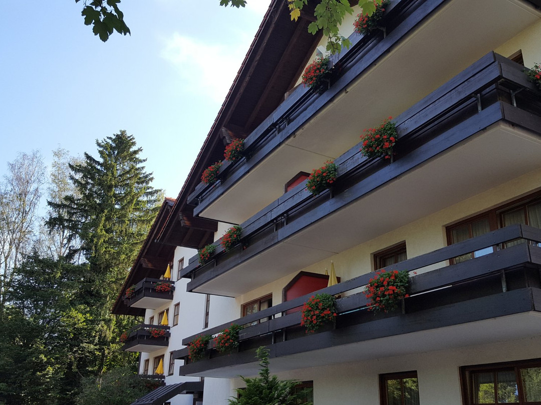 Hoelzl Appartment-Hotel主图