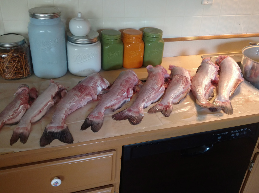 Kopp's Lakes-Clarksville必去景点