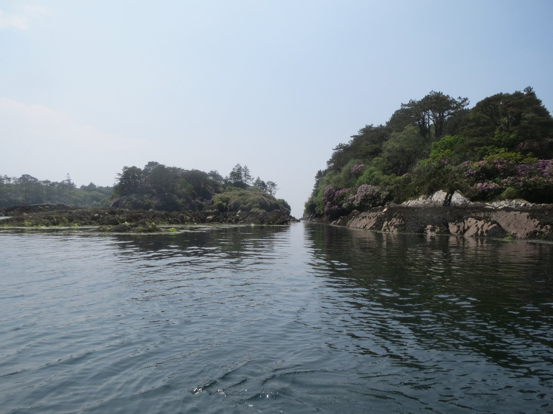Sunfish Explorer - Motorised Kayaking Tours-Sneem必去景点