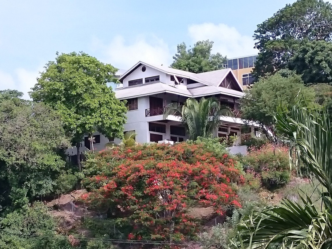 The Nest Tobago Apartments主图