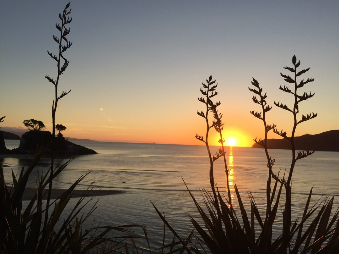 Trillium Lodge主图