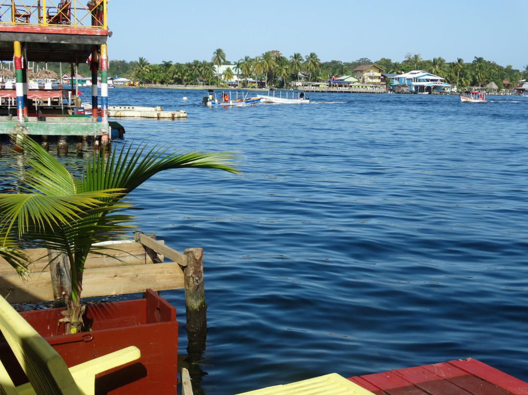 Hotel Bocas del Toro主图