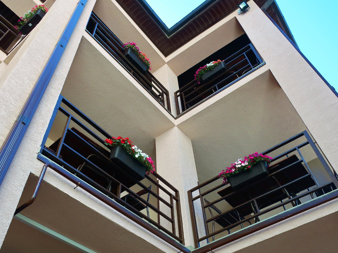 Guest House Shokolad主图