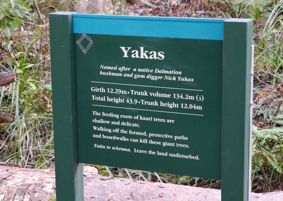 Yakas Walk景点图片