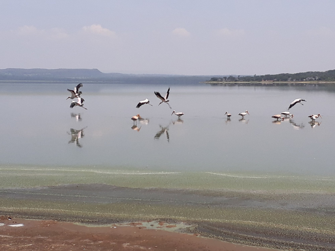 Sirville Lake Elementaita Lodge主图