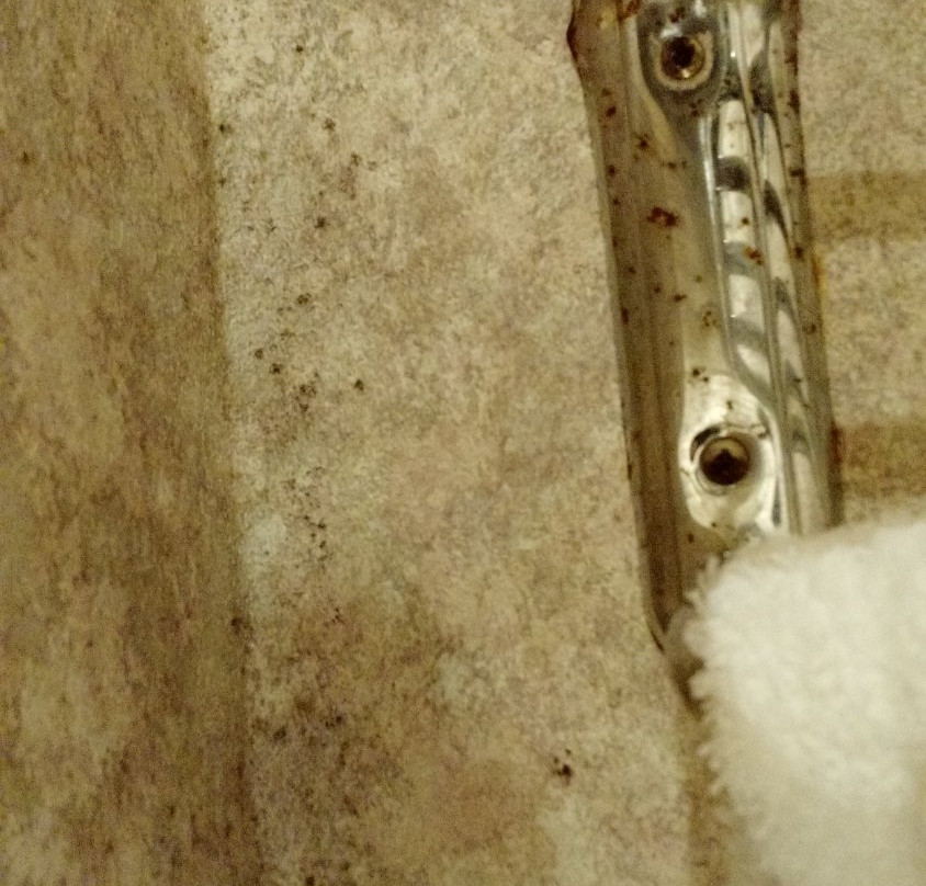 Travelodge by Wyndham Lynwood主图