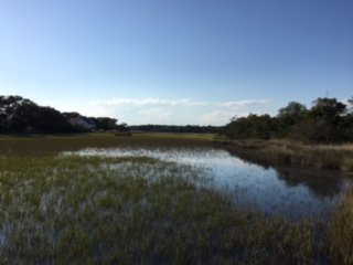 Environmental Overlook Trail景点图片