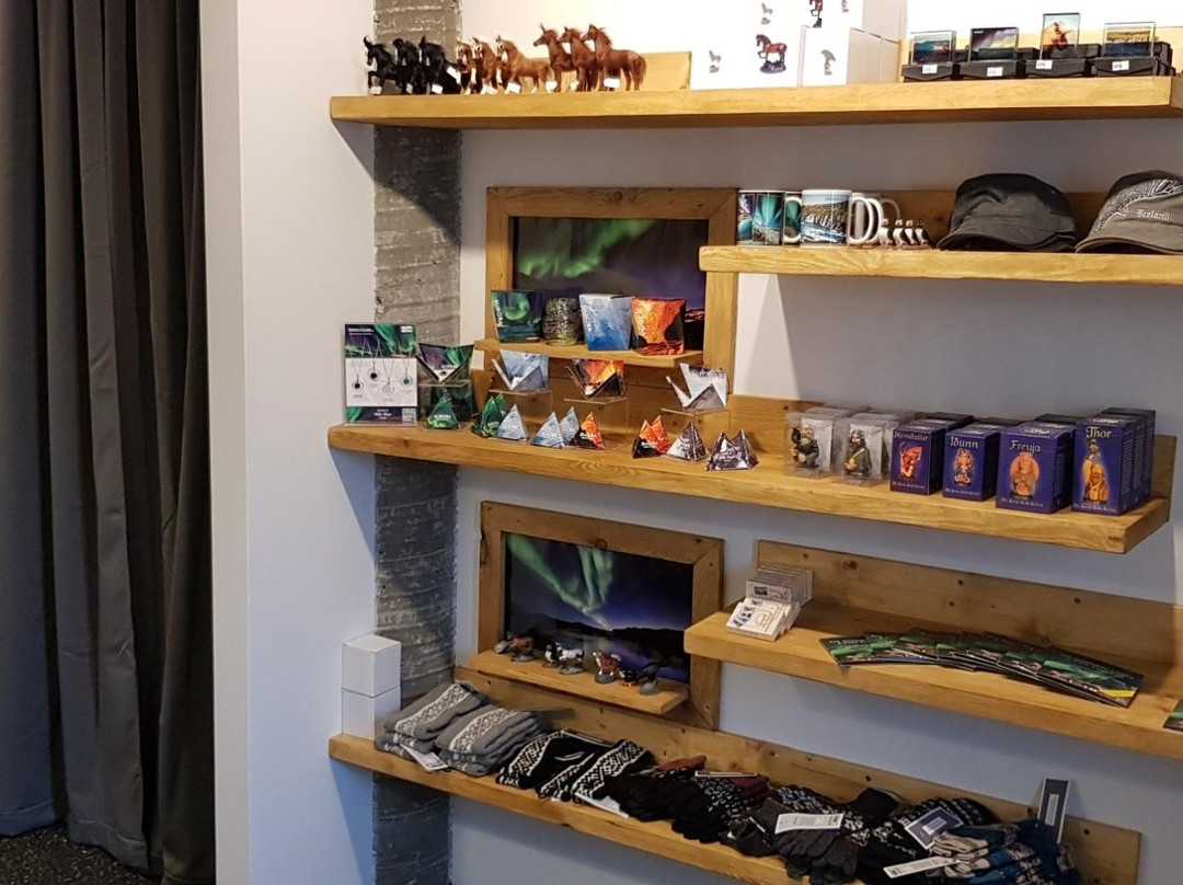 Aurora Borealis-博尔加内斯必去景点