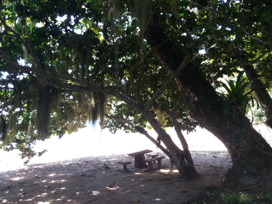 Presidio Beach景点图片