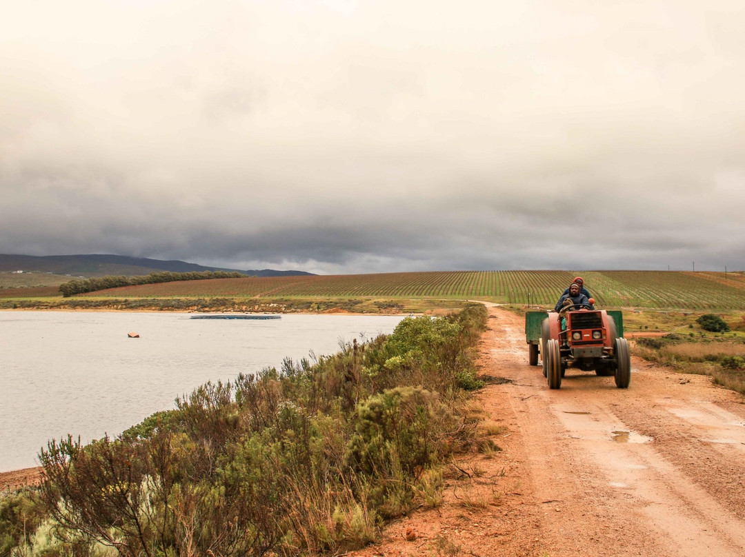 Lomond Wine Estate-干斯拜必去景点