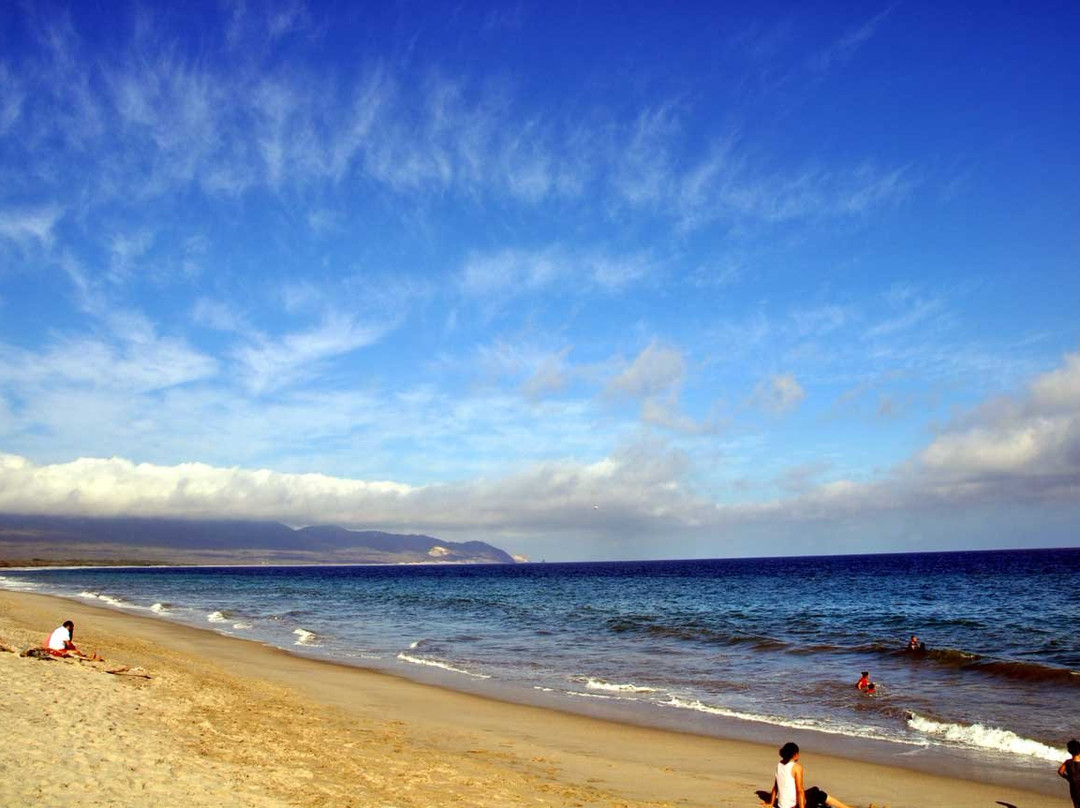 Playa Cangrejo景点图片