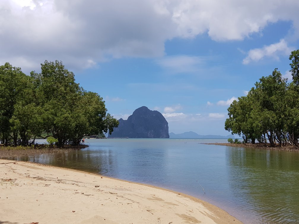 Mystic Mangrove Adventure-爱妮岛必去景点
