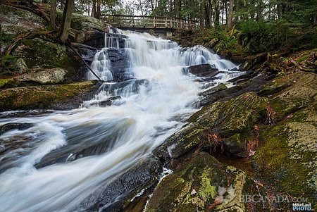 Westlawn Bed and Breakfast主图