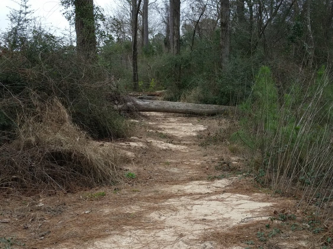 Spring Creek Greenway-斯普林必去景点