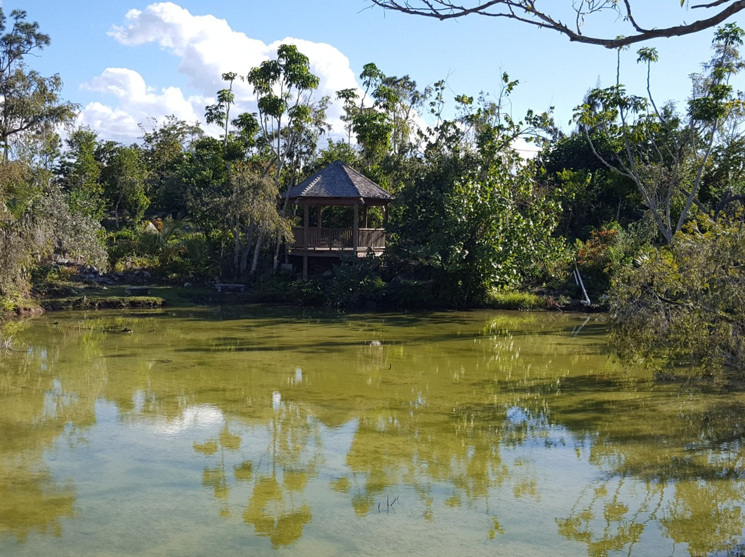 Rand Memorial Nature Center-弗里波特必去景点