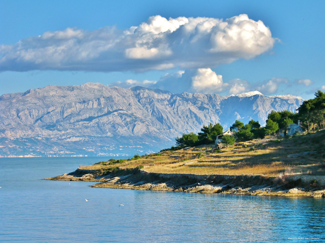 Apartments Island of Brac - Villa Nela主图