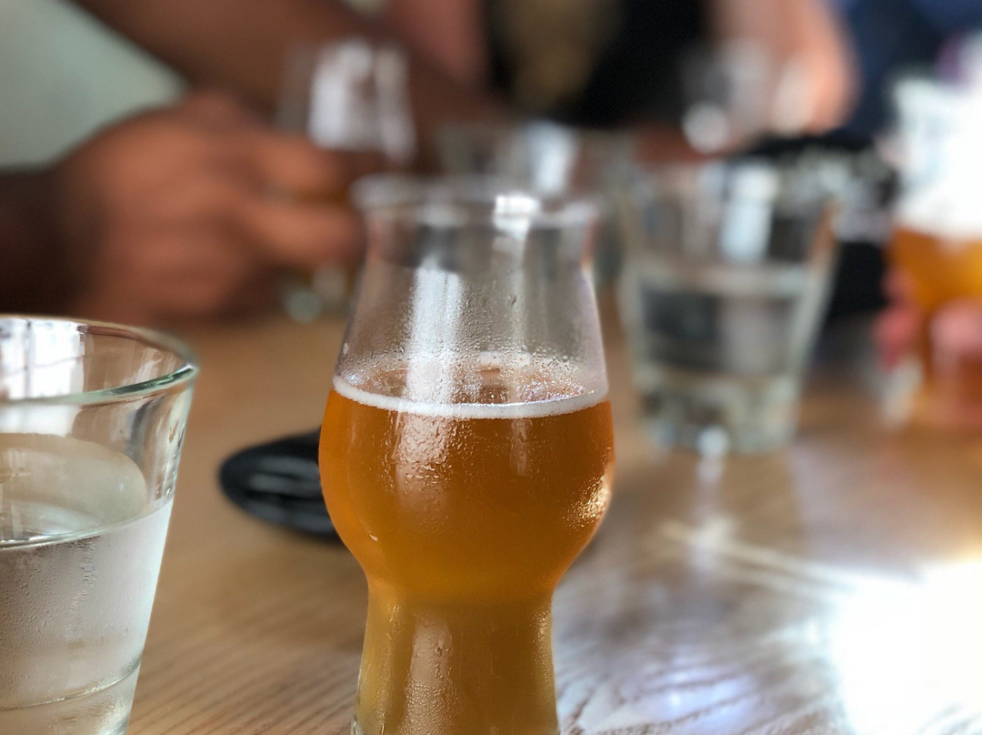 Craft Beer College景点图片