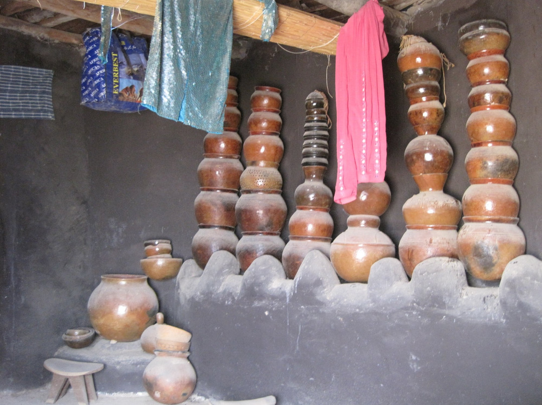 Musée De La Bendrologie de Manega-瓦加杜古必去景点