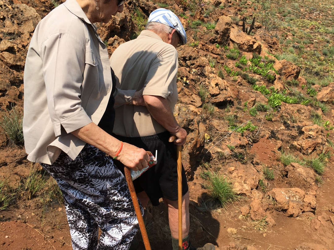 Irene@Smuts Market-三图里恩必去景点