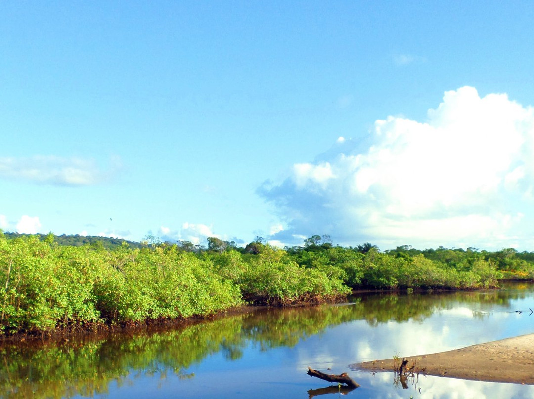 Ponta da Tulha旅游攻略图片