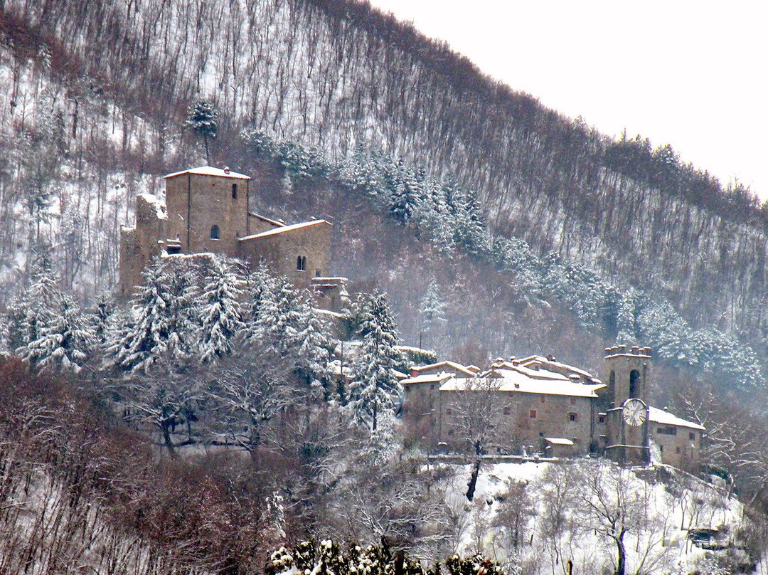 Castello di Castel San Niccolò景点图片