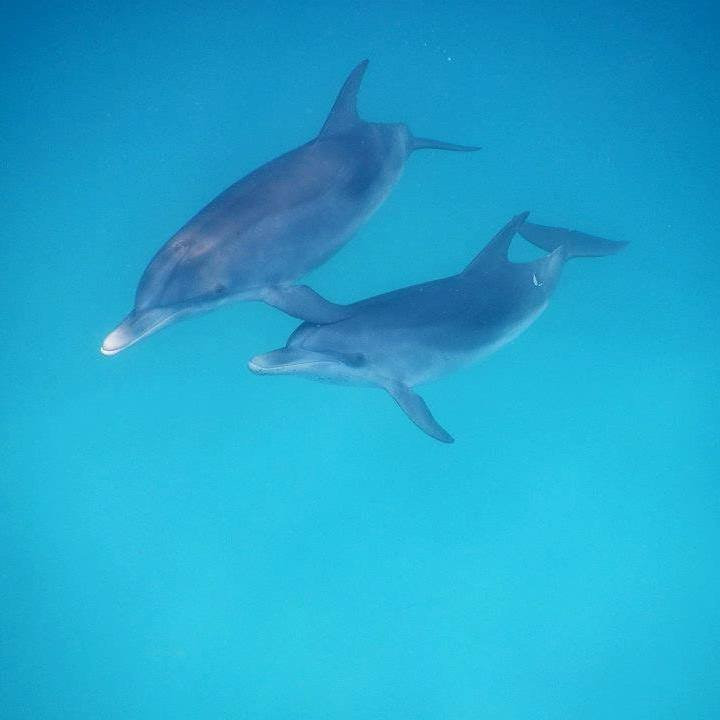 Eleuthera Adventure Tours-Rock Sound必去景点